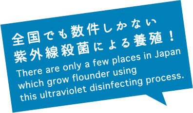 全国でも数件しかない紫外線殺菌による養殖！